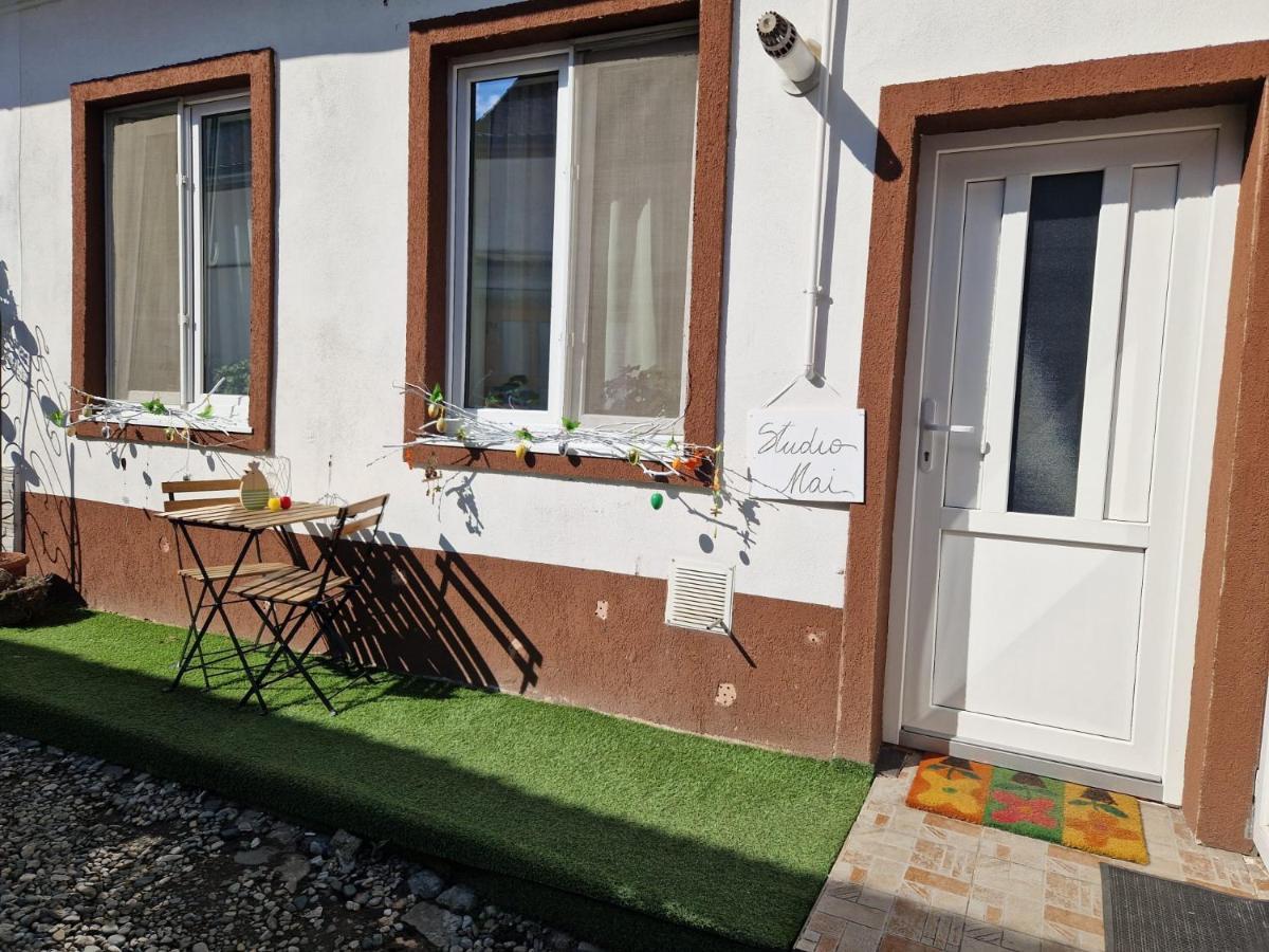 Flh - Studio Mai Cu Aroma De Cafea Si Ceai Sibiu Exterior photo